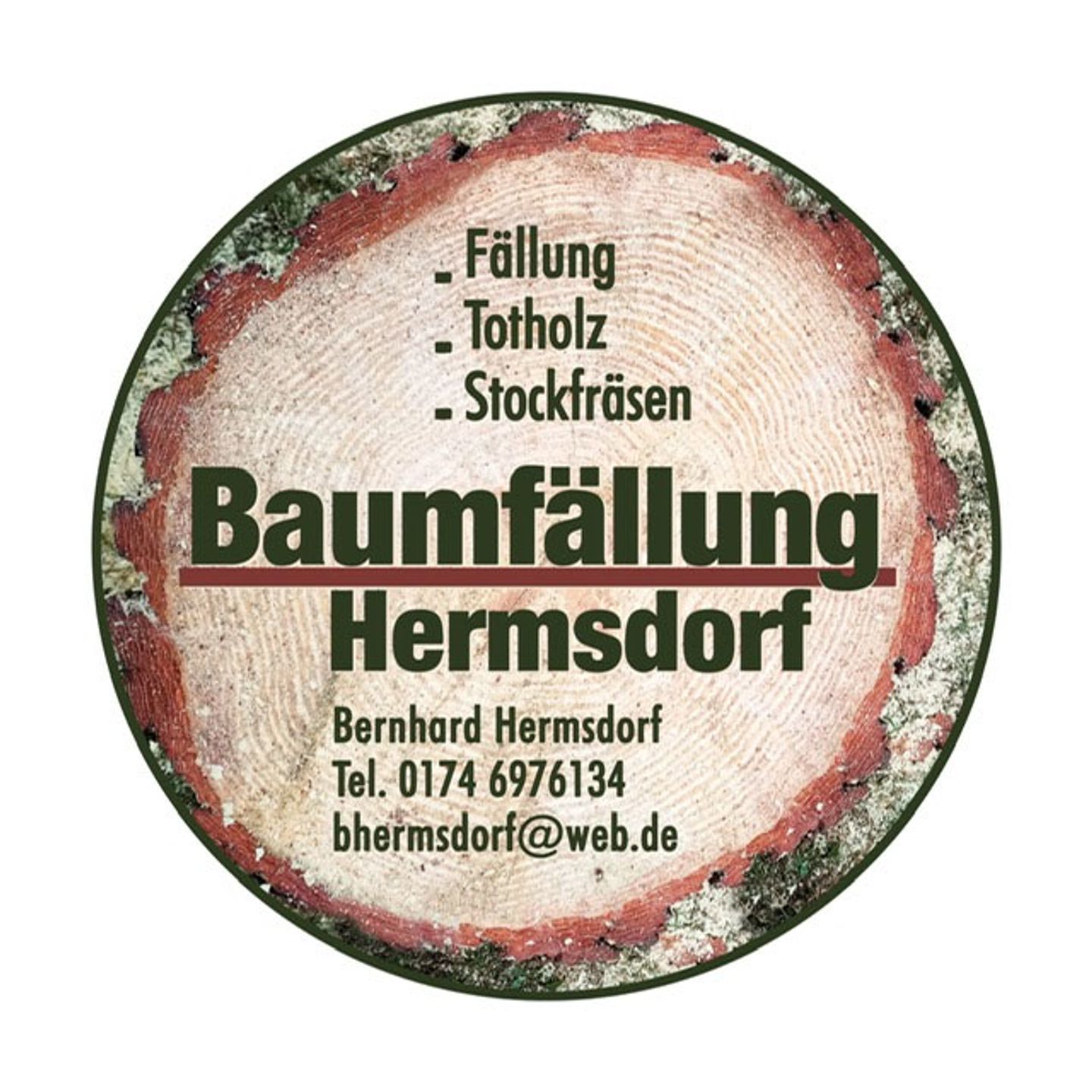 Bernhard Hermsdorf Baumfällungen, Pflaumenbaumweg 60 in Plauen