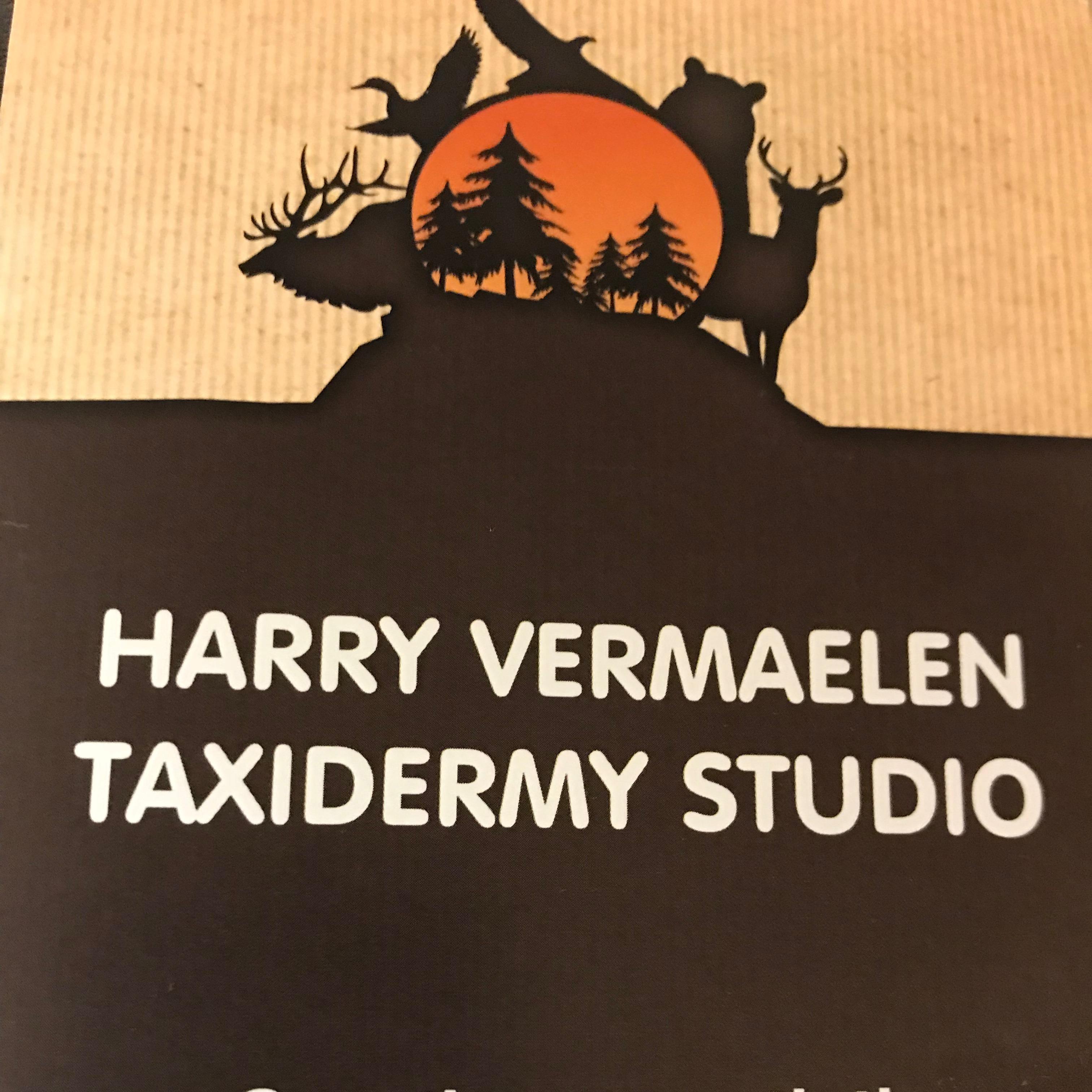 business logo