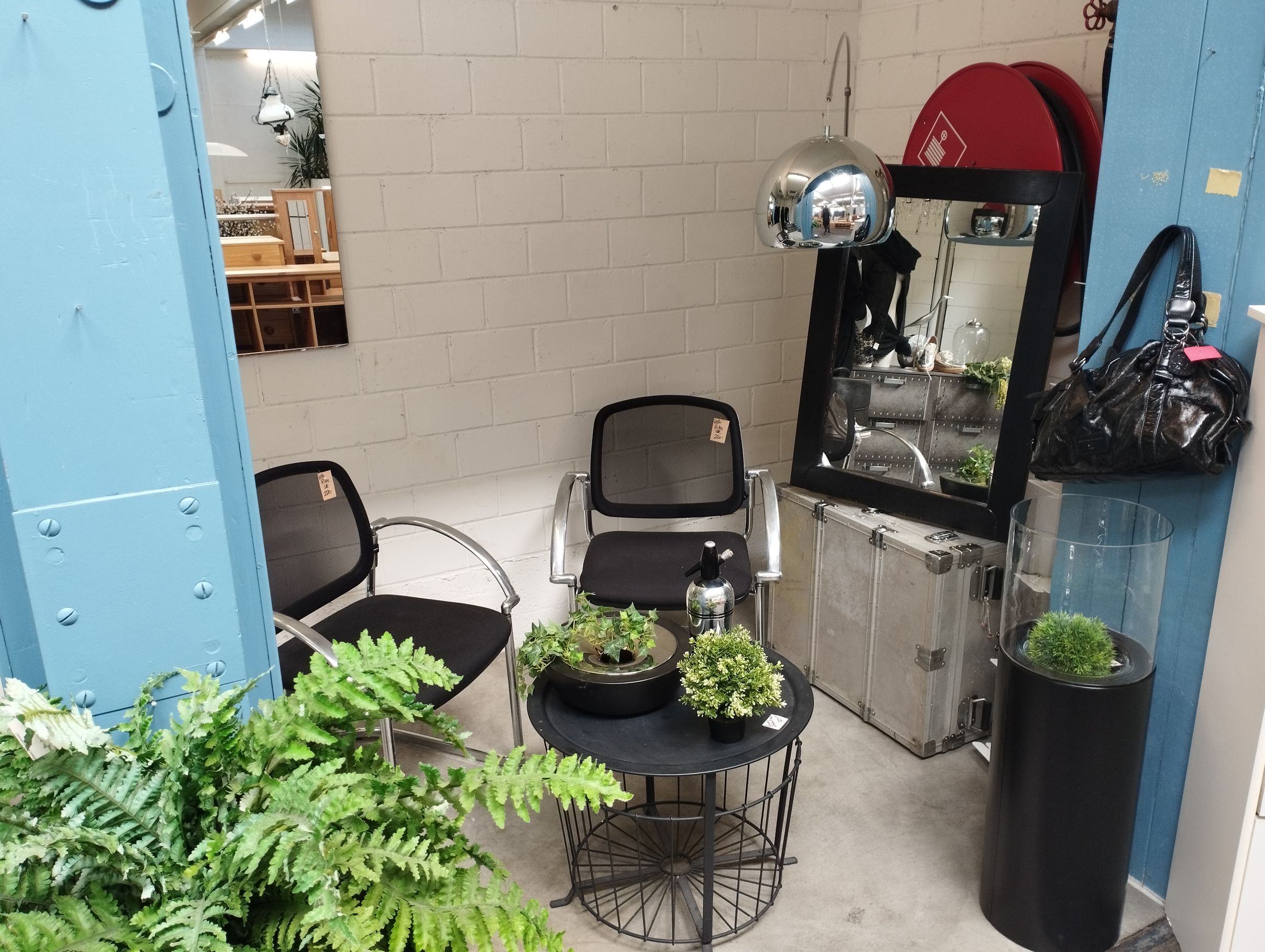 Bilder Brockenhaus Grüze