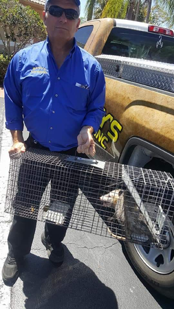 Images Rusty's Exterminators, Inc.