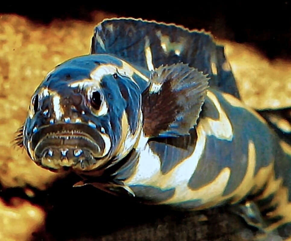 S&L Naturverlag, Bergrat-Mahr-Straße 17 in Ilmenau