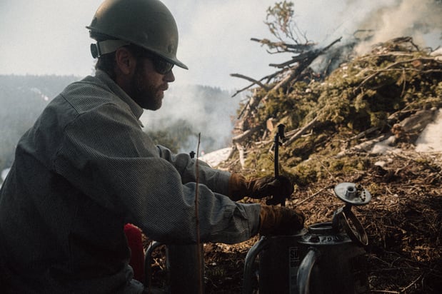 Images Alpine Forestry