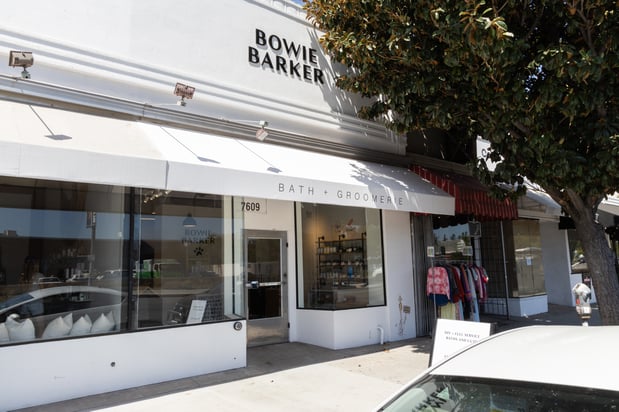 Images Bowie Barker West Hollywood