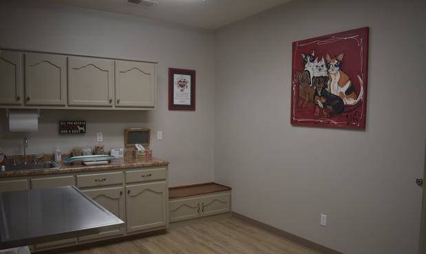 Images Animal Medical Center of Hernando