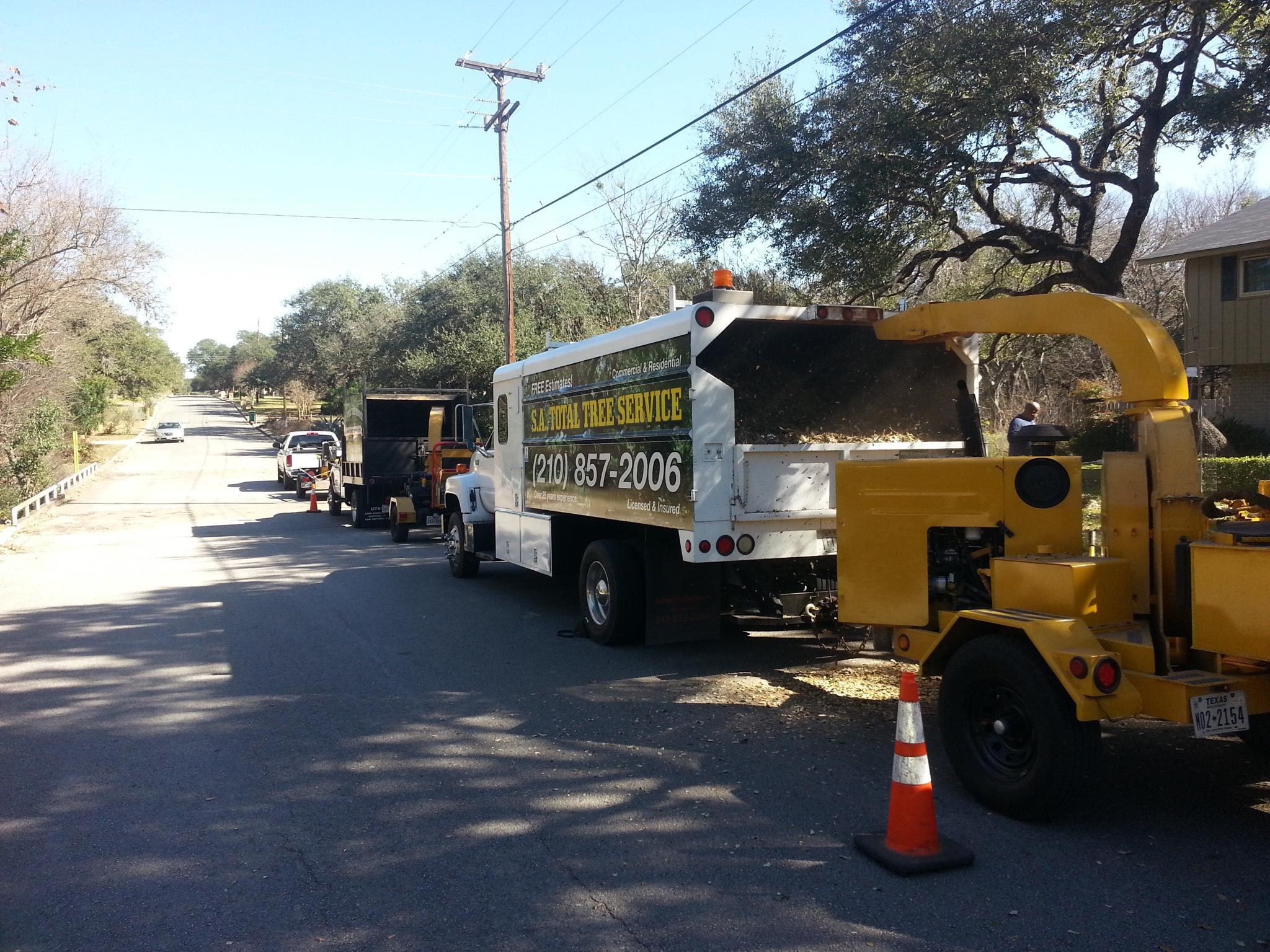 SA Total Tree Service Photo