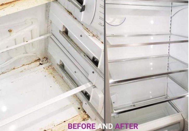 Gentle Ladies Cleaning and Packing Service LLC Logo