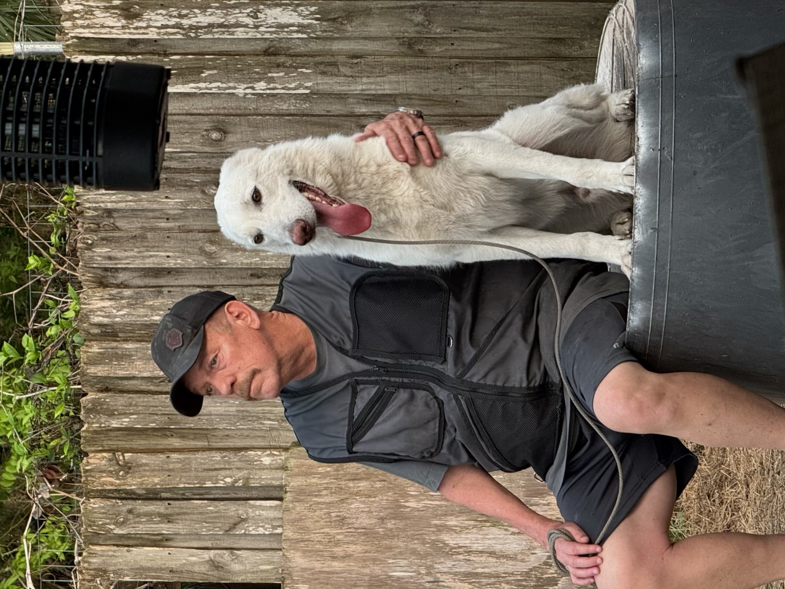Russell's K9 Academy Image