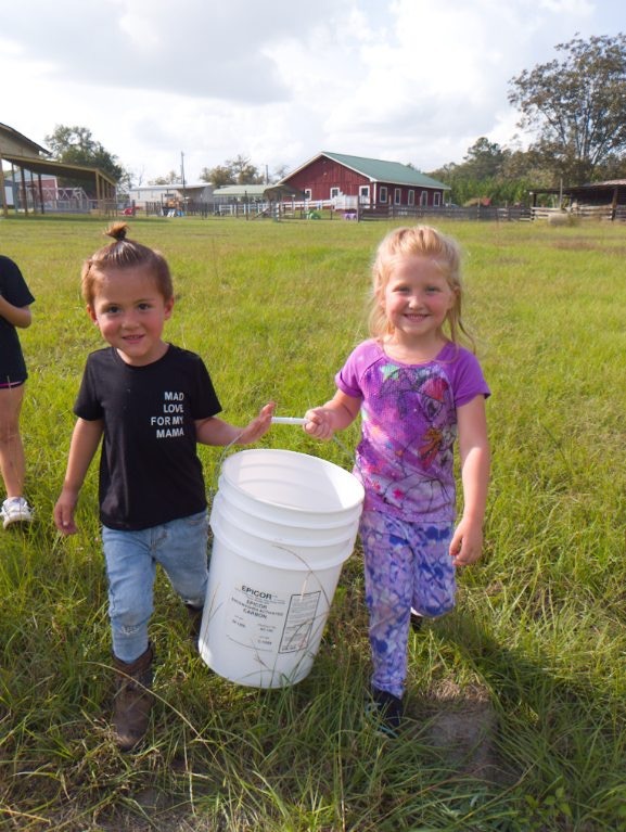 Little Folks Farm & Childcare Image
