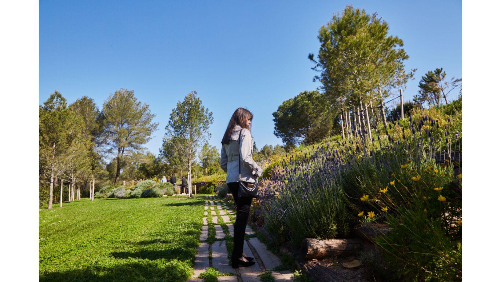 Cementiri Comarcal Roques Blanques 80