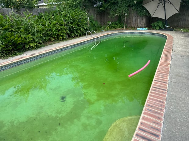 Images Pool Time