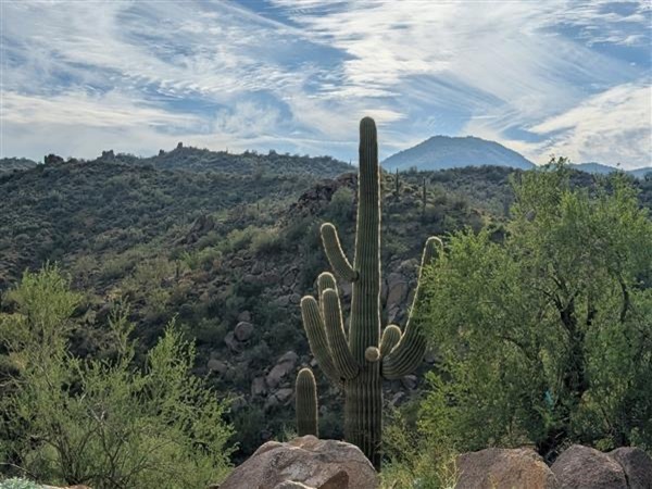 Invisible Fence® installed in Arizona