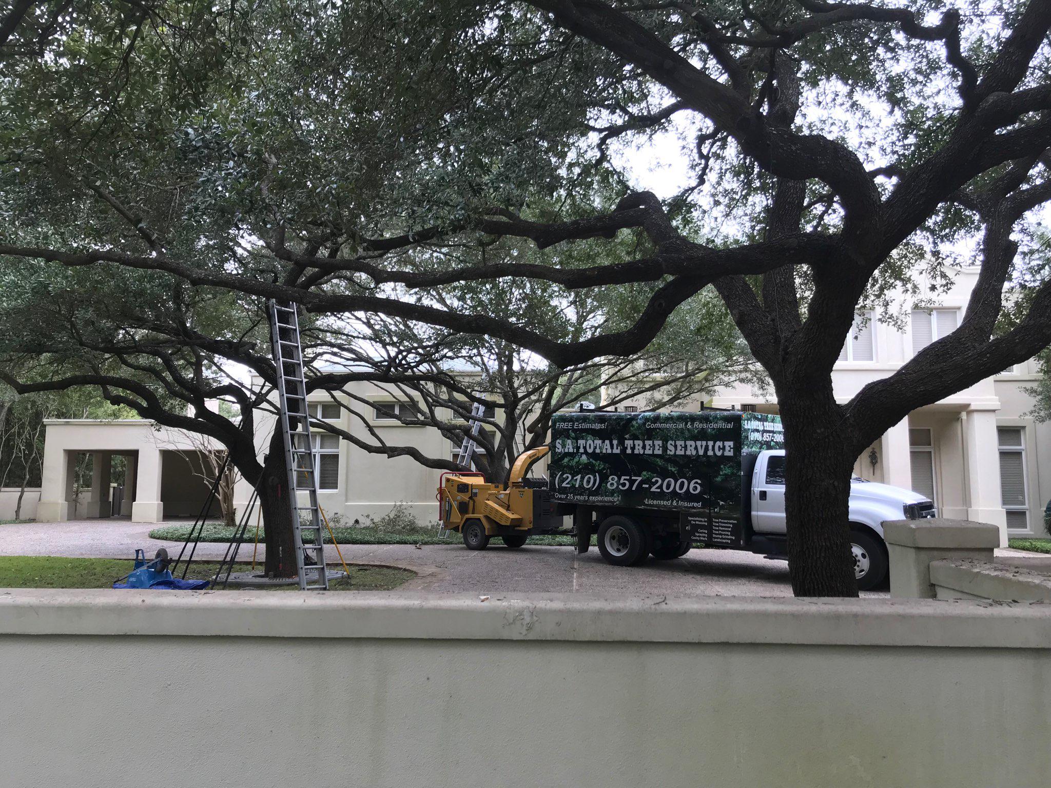 Sa Total Tree Service Tree Service Helotes Texas