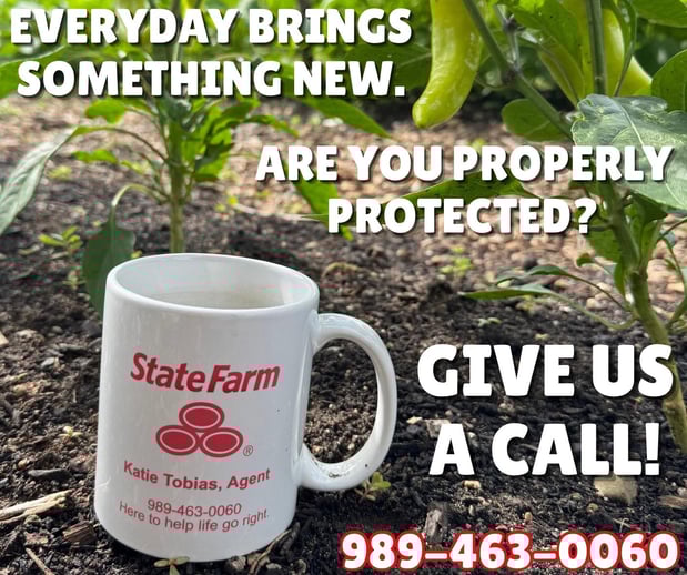 Images Katie Tobias - State Farm Insurance Agent