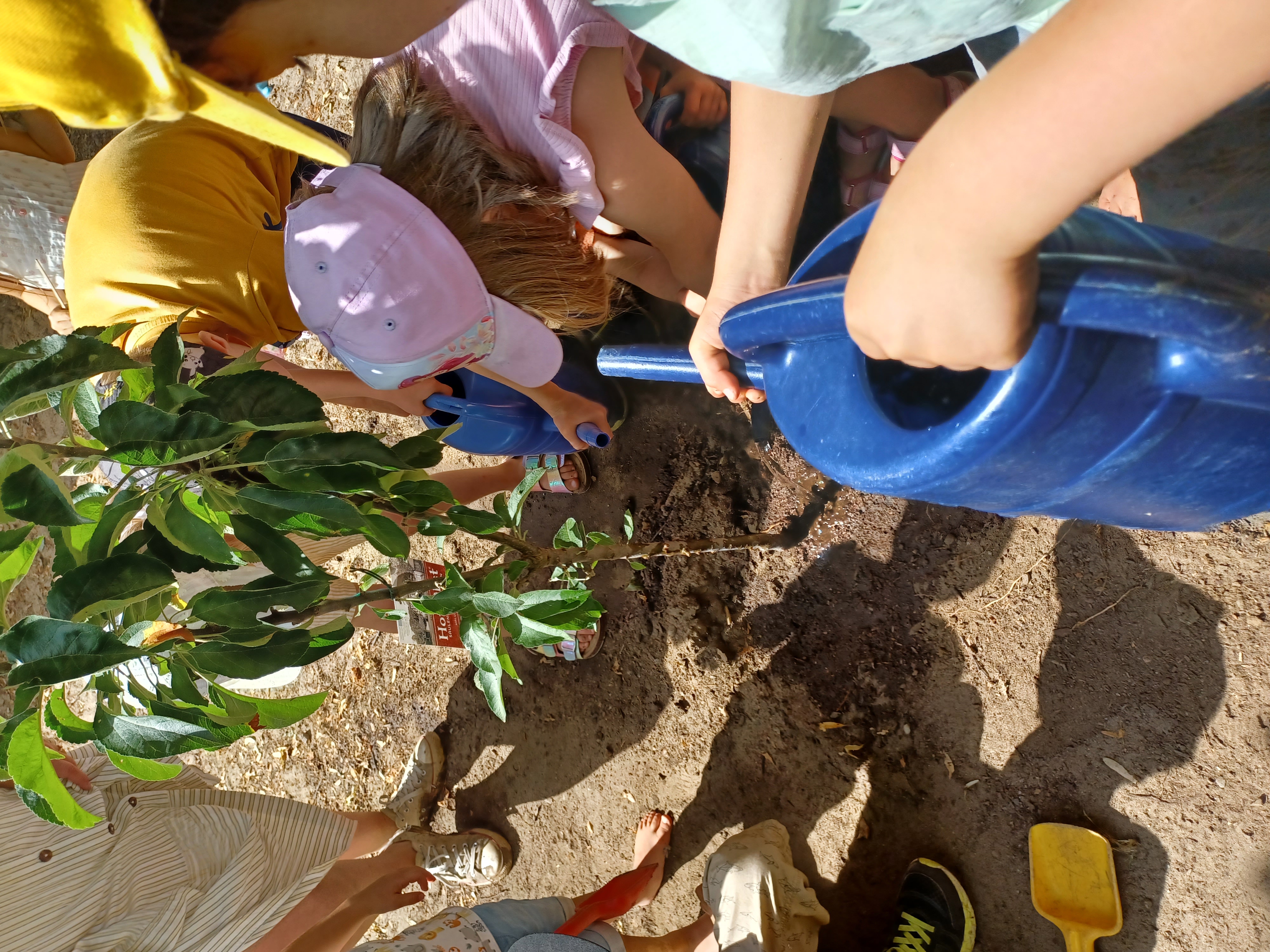 Bild 1 AWO Kita Tautropfen in Berlin