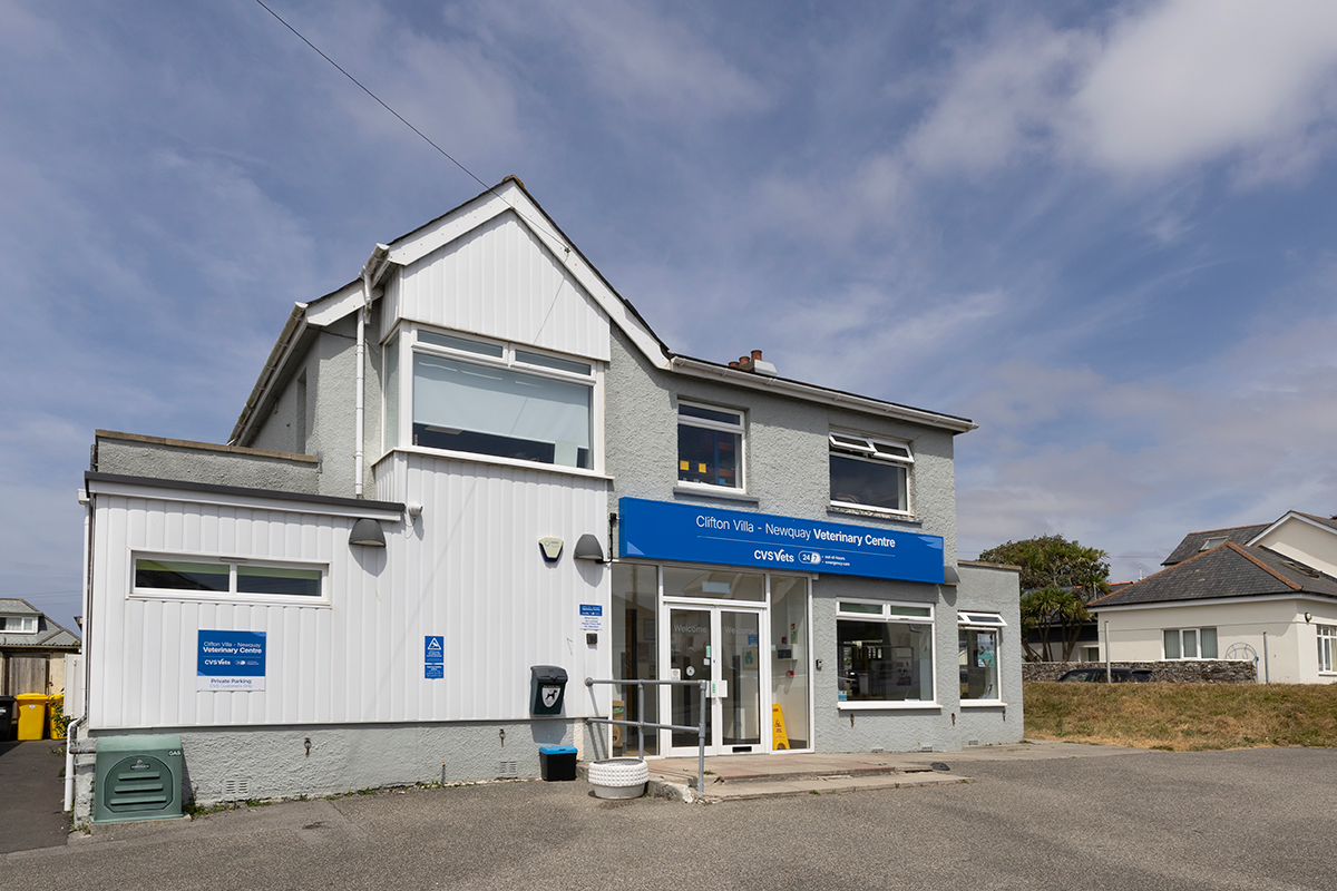 Clifton Villa Veterinary Centre - Newquay