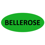 Bellerose Roofing & Siding Logo