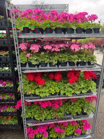Images Ultimate Nursery Macomb