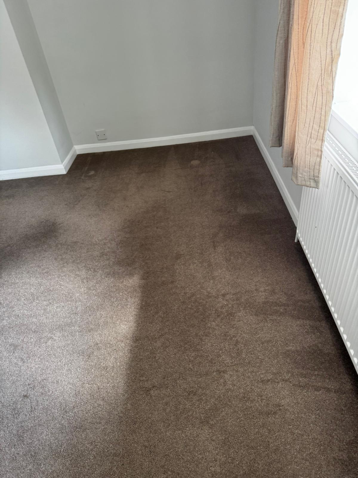 Images l and p cleaning services