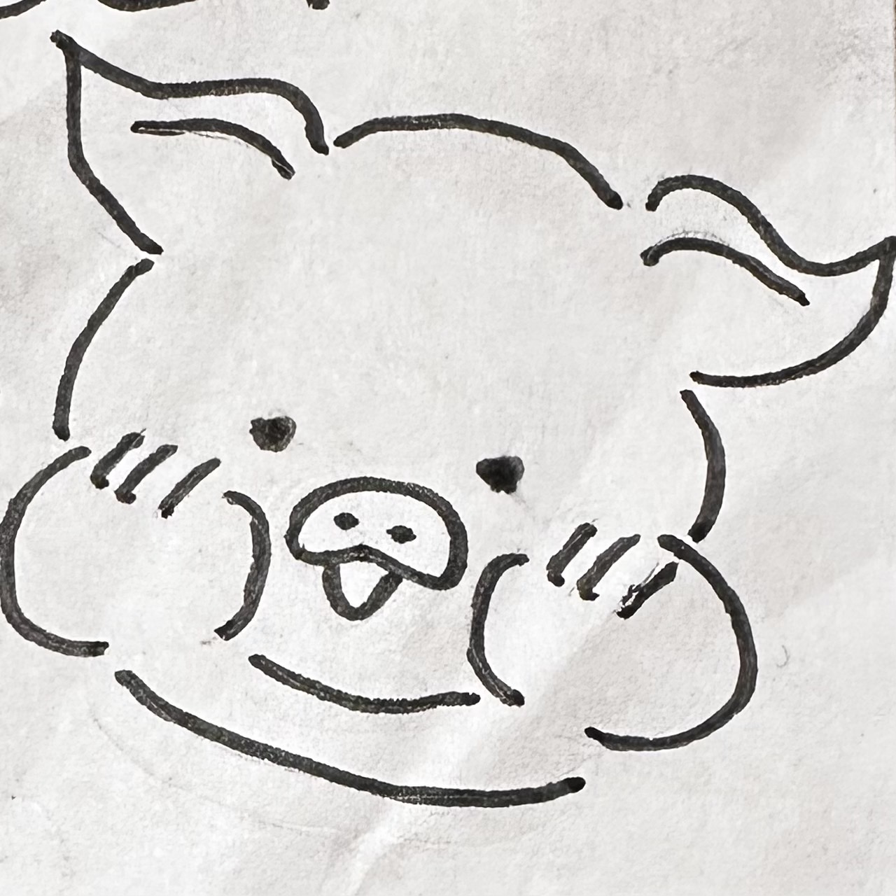 Images 太陽のとん