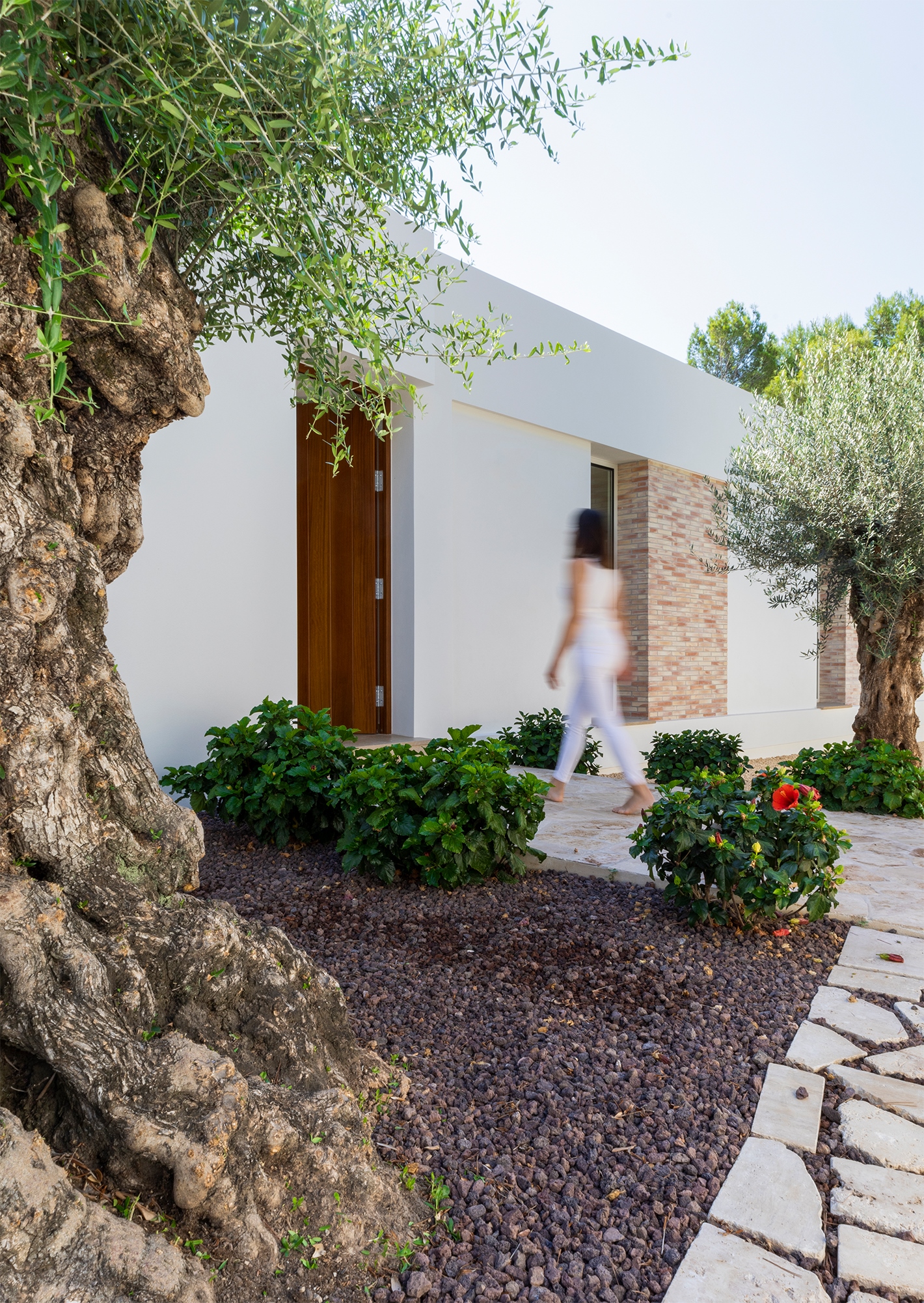 Images zaquizami · arquitectura