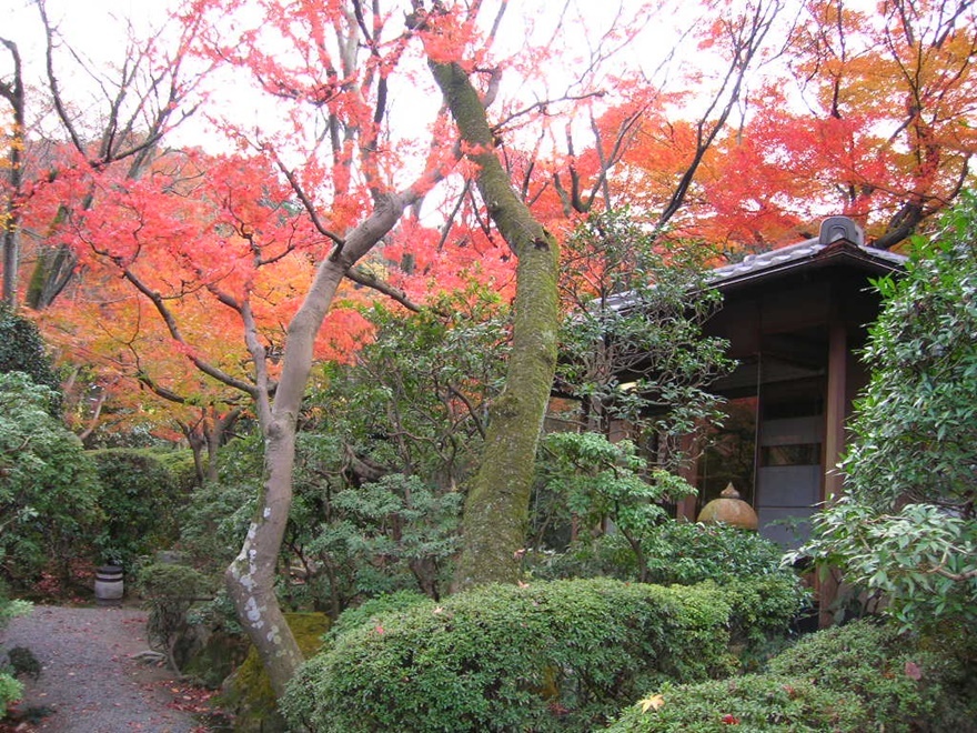 Images 逢坂山かねよ 本店