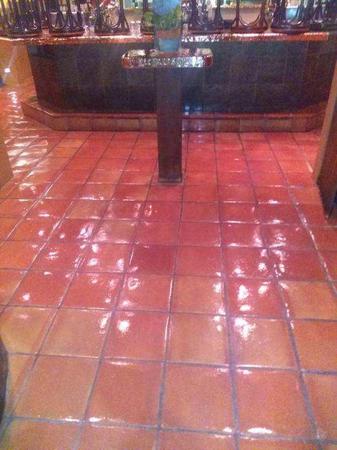 Images Horizon Carpet, Upholstery, Tile & Grout Cleaners & Repair