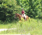 Images Star Ridge Stables