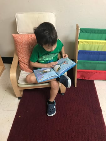 Images Teeter Toddler