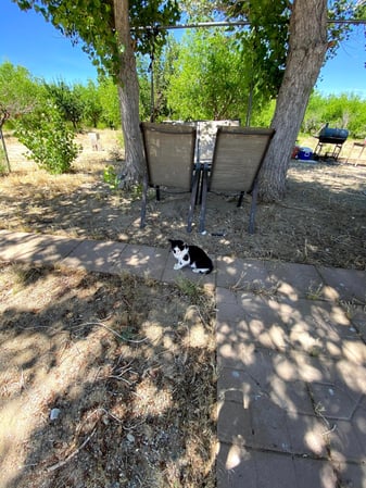 Images Base Camp Jujube Ranch 베이스캠프 대추농장