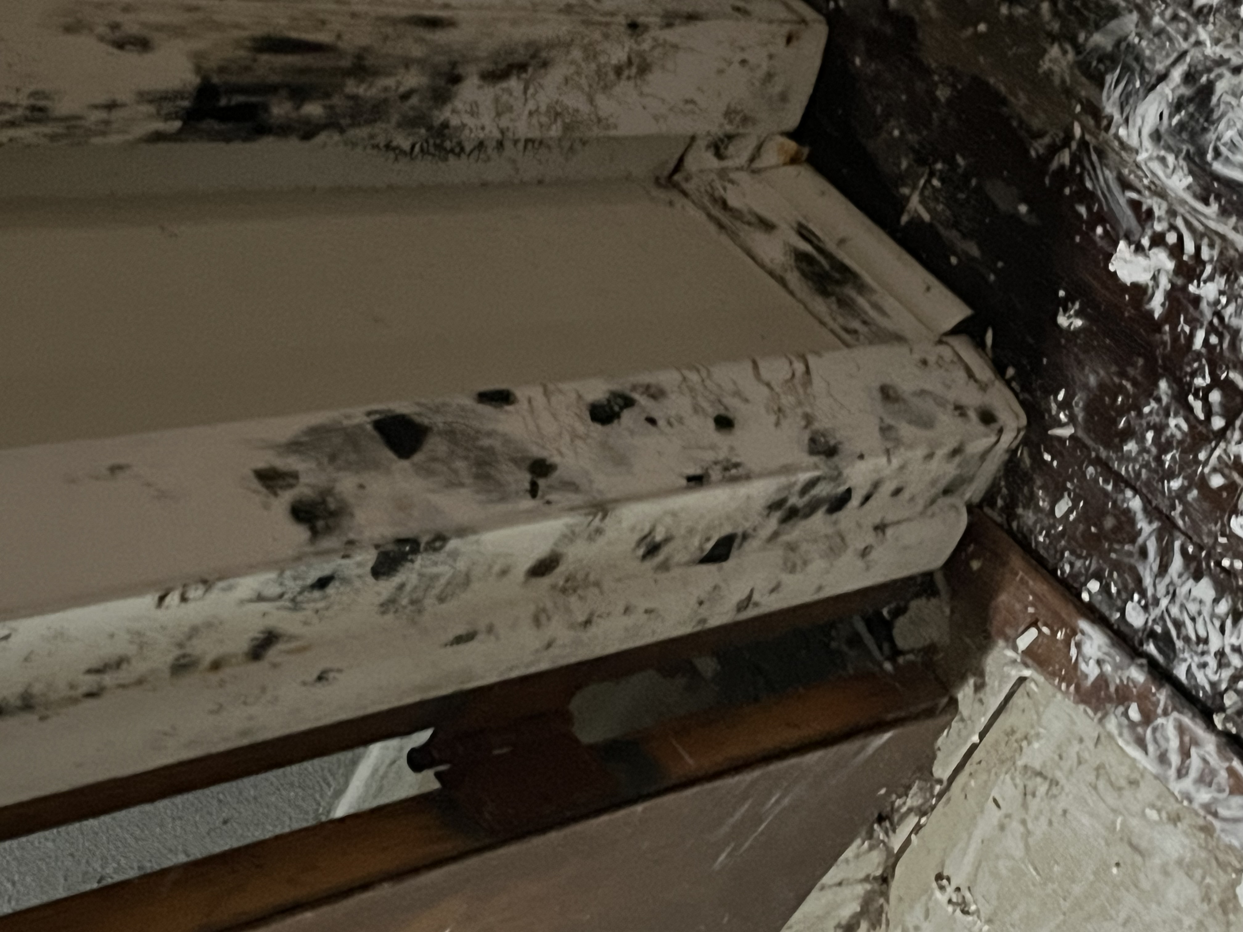 When it comes to mold damage restoration, SERVPRO is a trusted name that offers professional services with a 24/7 availability. Give us a call today!