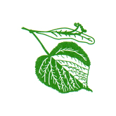 Linden-Apotheke in Fleckeby - Logo