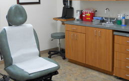 Images Manatee Dermatology