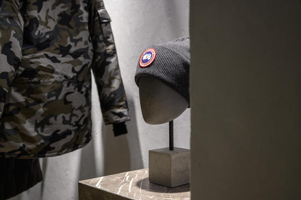 Images Canada Goose Minnesota