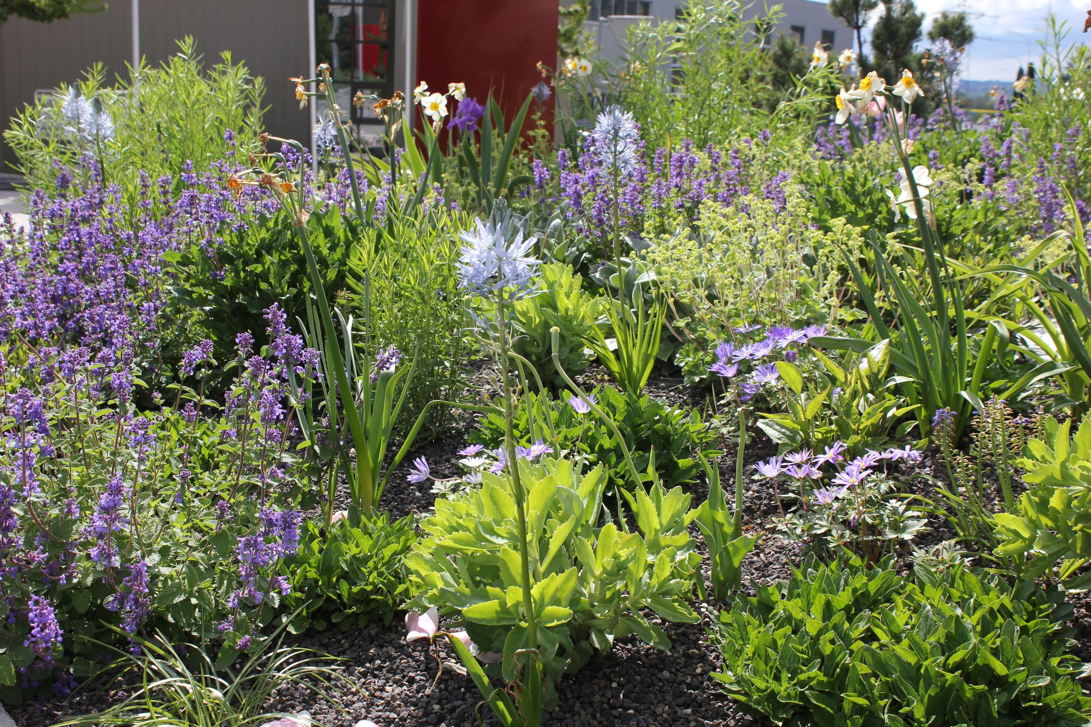 Bilder Artho Gärten AG