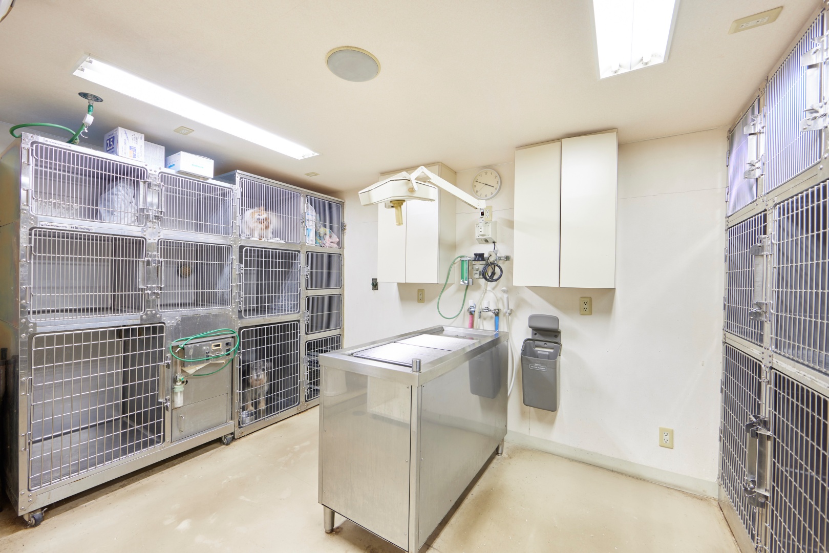 Images 江島動物病院 PAL動物病院グループ