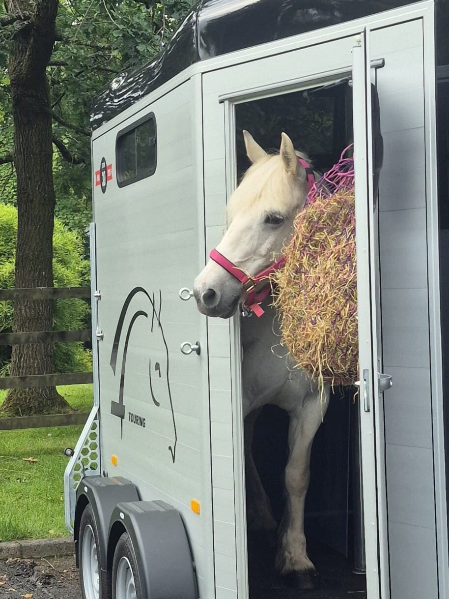 Images Piper's All Natural Horse Oils