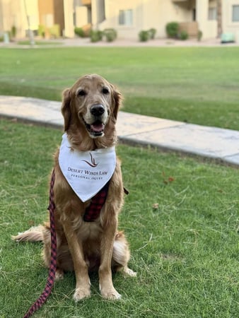 Images Desert Winds Law, PLLC