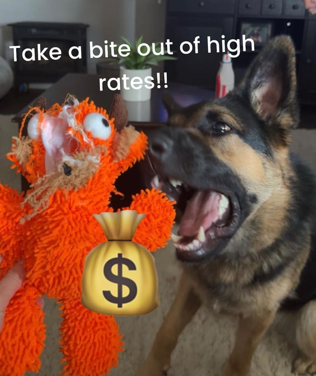 Images Marjorie Schaeffer - State Farm Insurance Agent