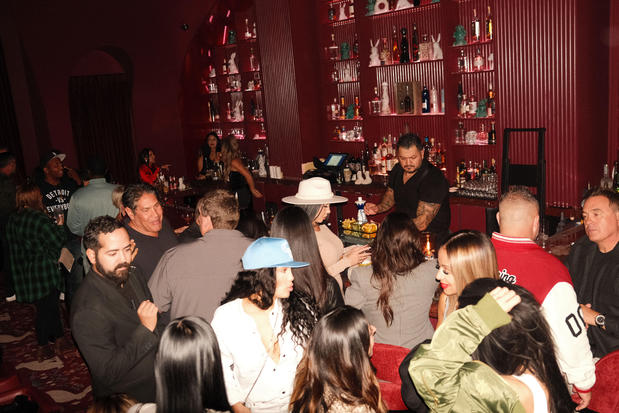 Images Wax Rabbit Speakeasy