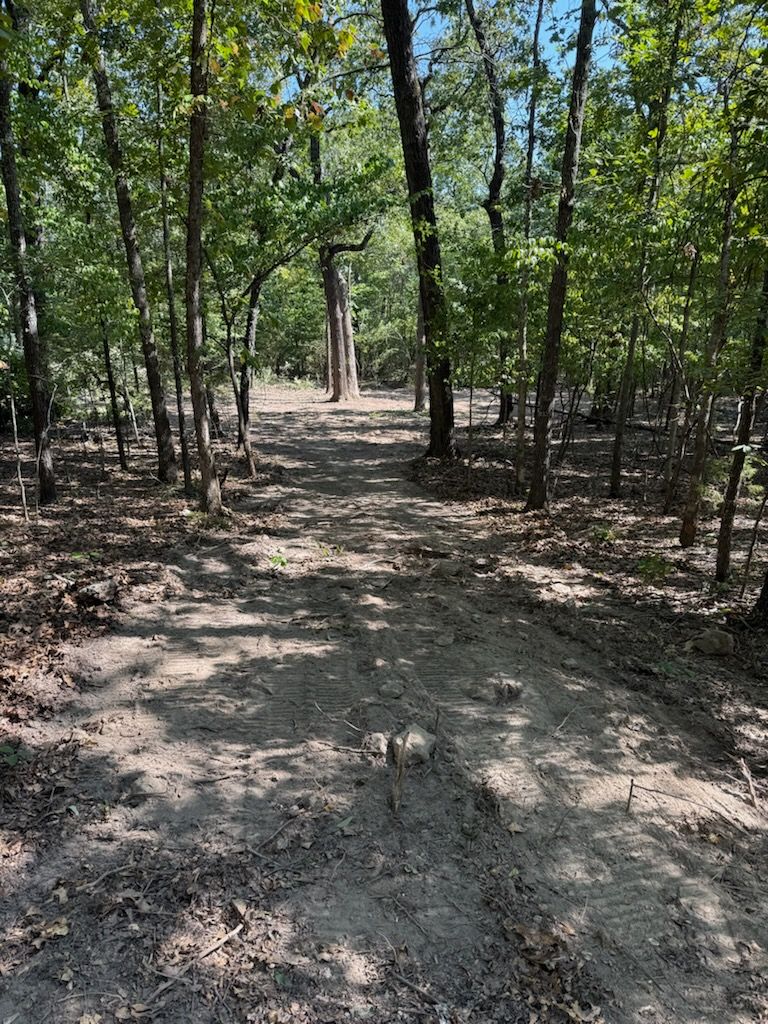 Triple C Excavation Image