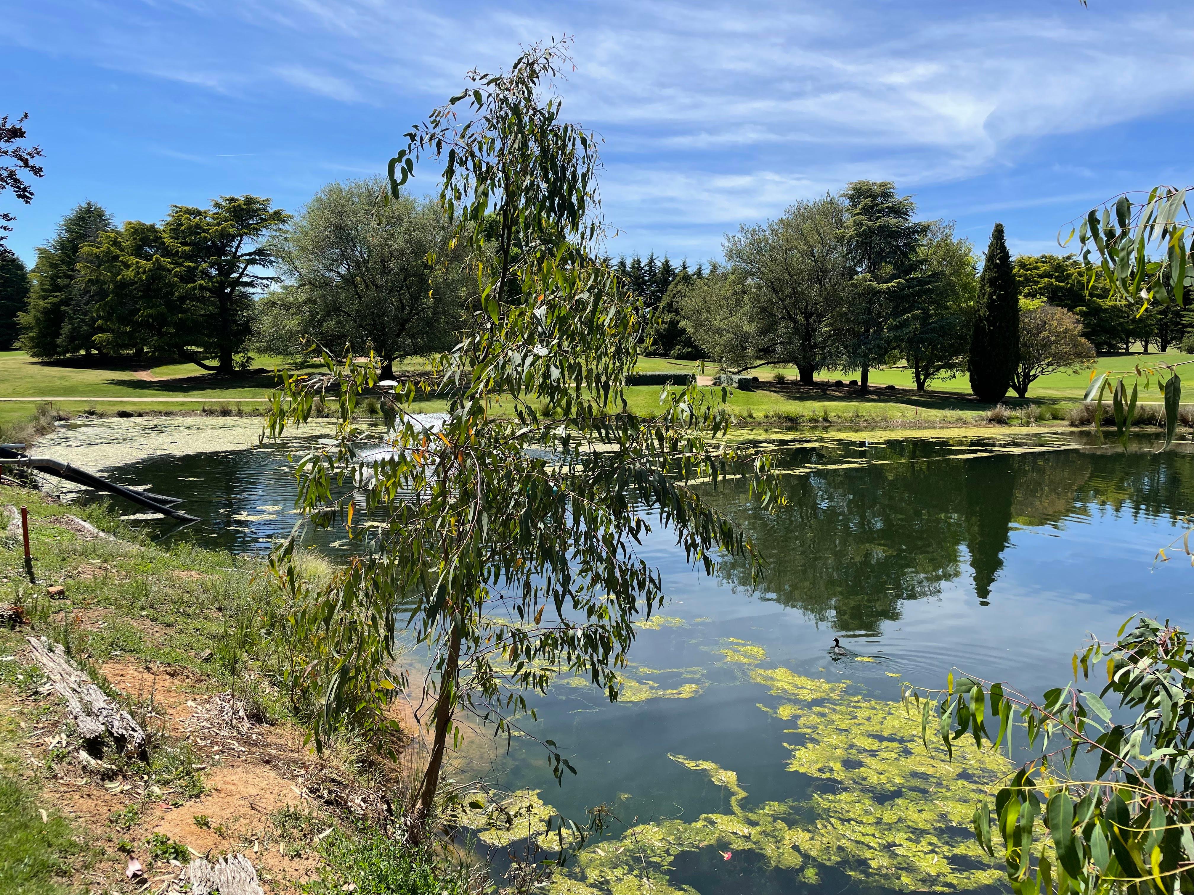 Images Gilba Solutions Pty Ltd