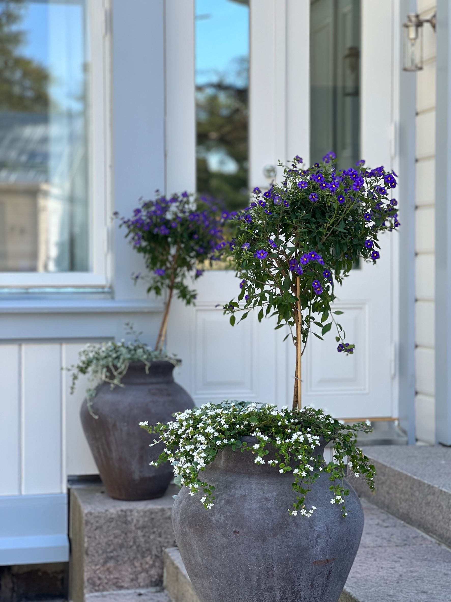 Images via Garden Oy