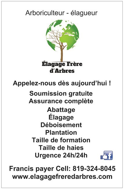 Images Élagage Frère d'Arbres