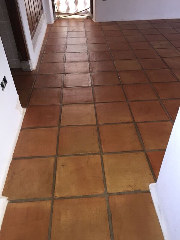 Images Tomás Avilés