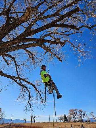 Images H & S Tree Care