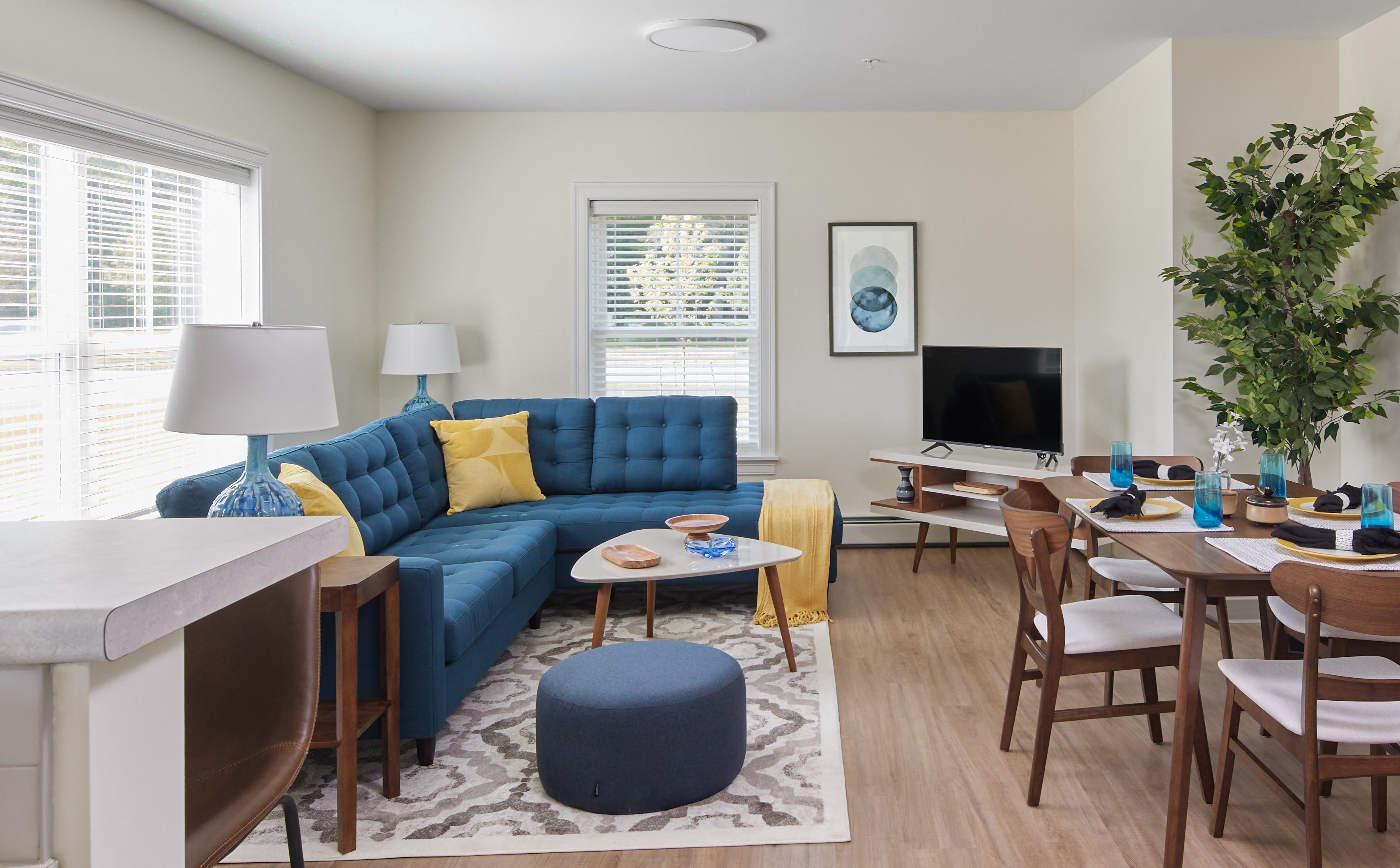 Living Room With TV