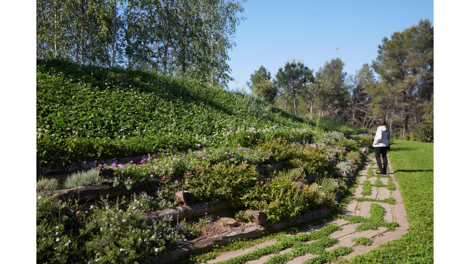 Cementiri Comarcal Roques Blanques 71