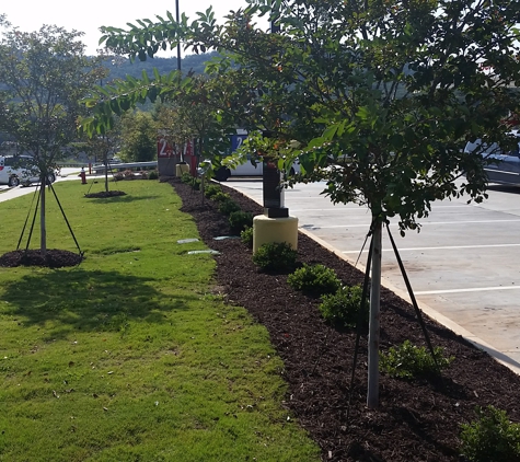 Images Mulch of Blue Ridge