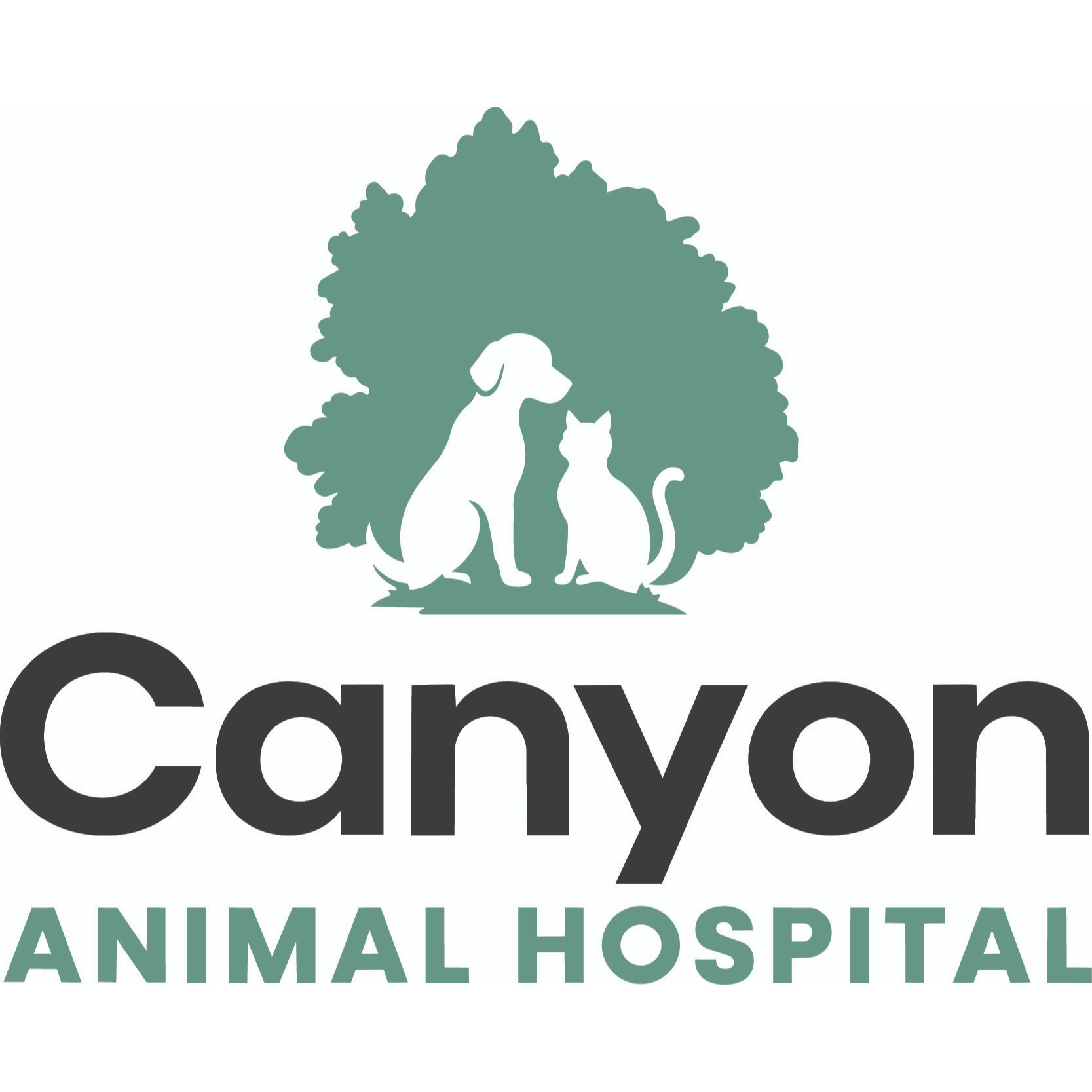 Canyon Animal Hospital