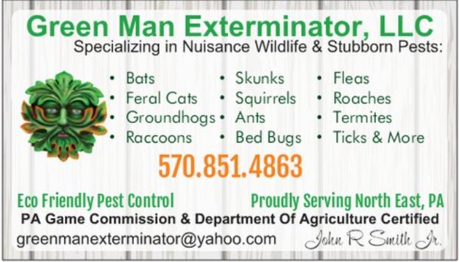Images Green Man Exterminator